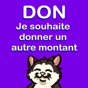 DON montant personnalisé